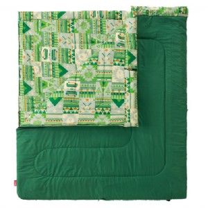 【新品特價】Coleman CM-27256 2 in 
